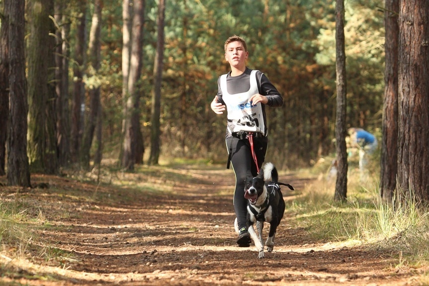 Non-stop Dogwear běžecký opasek a vodítko s amortizérem